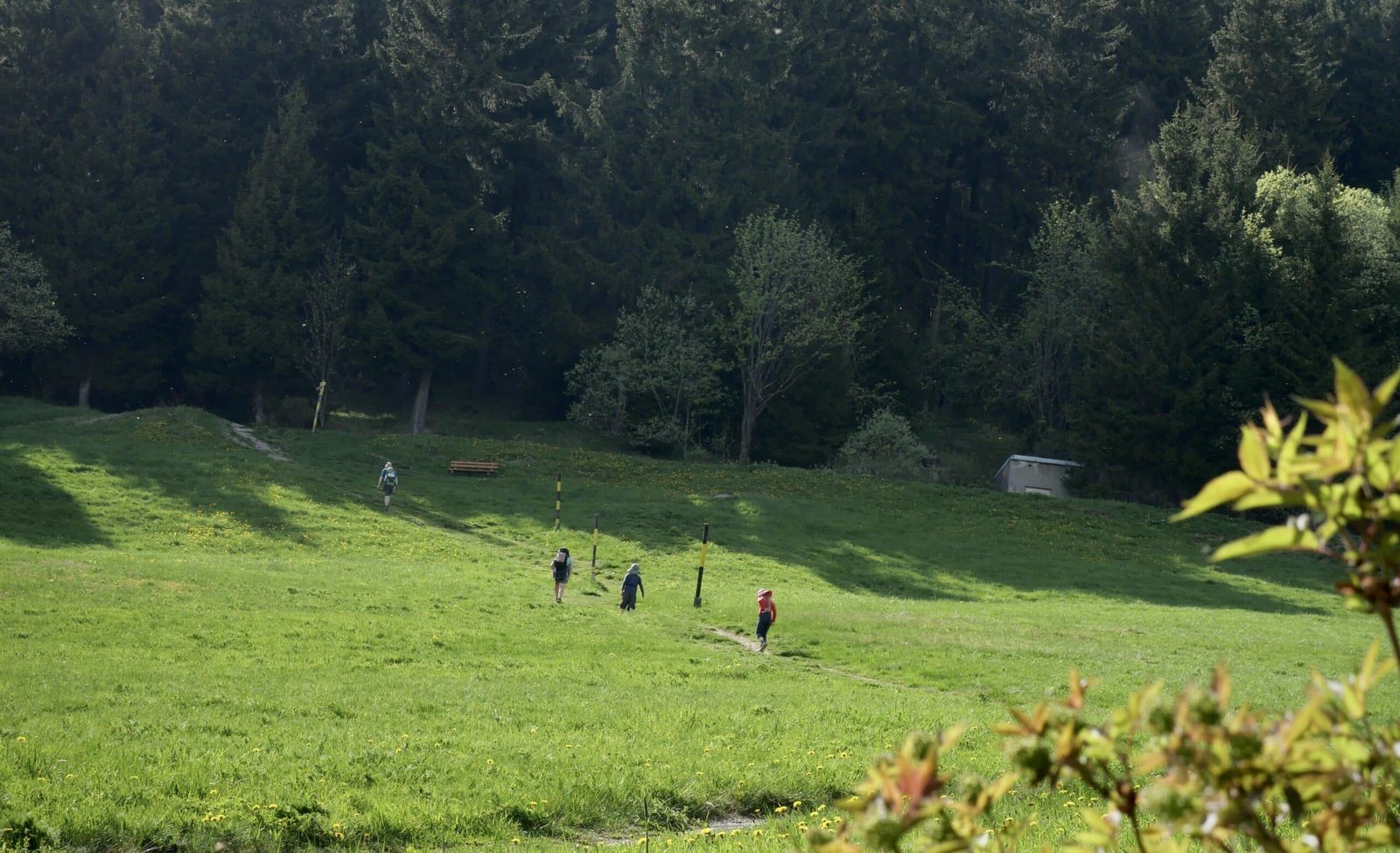 Wandern am Fichtelberg